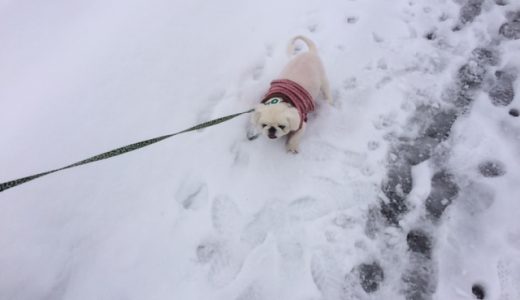 色々と逆行して苦手な事にチャレンジするメリット